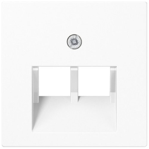 Лицевая панель Jung EcoProfi для 2-м. розетки RJ11/RJ45 белый фото Лицевая панель Jung EcoProfi для 2-м. розетки RJ11/RJ45 белый картинка